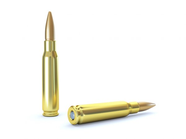 3119371-stock-photo-bullet-cartridge