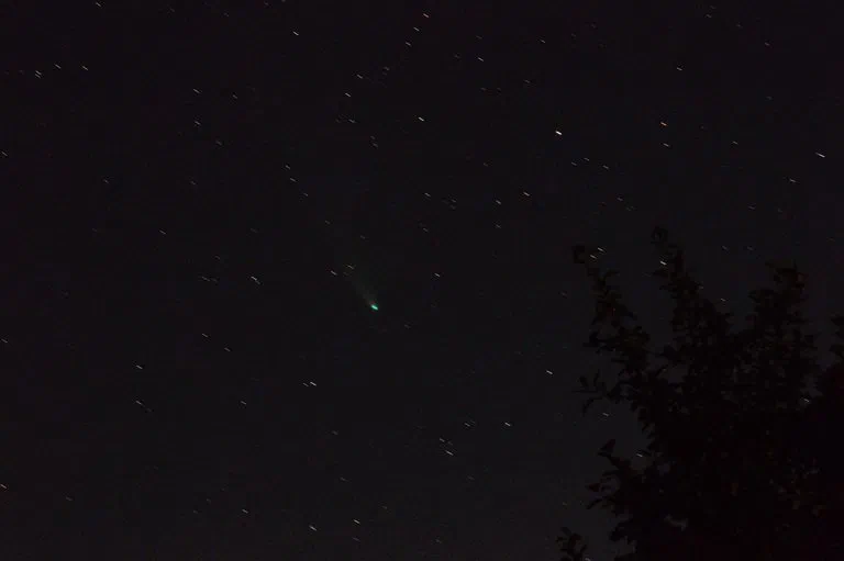 C/2020 F3 (NEOWISE)
