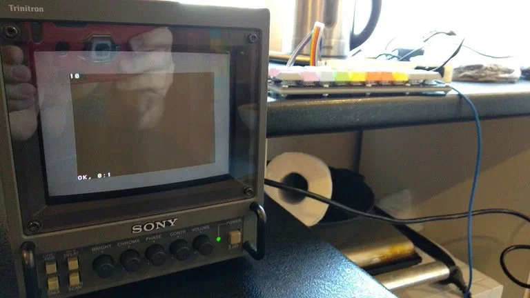 Sony PVM 6041qm: Но поскольку у меня небыло RGB кабеля, то картинка была чёрно–белая.
