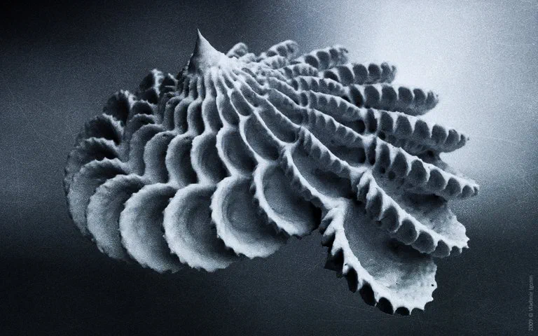 xenoprobe_xenoprobe_no_03