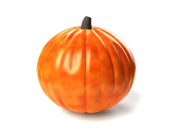 1106410-stock-photo-pumpkin