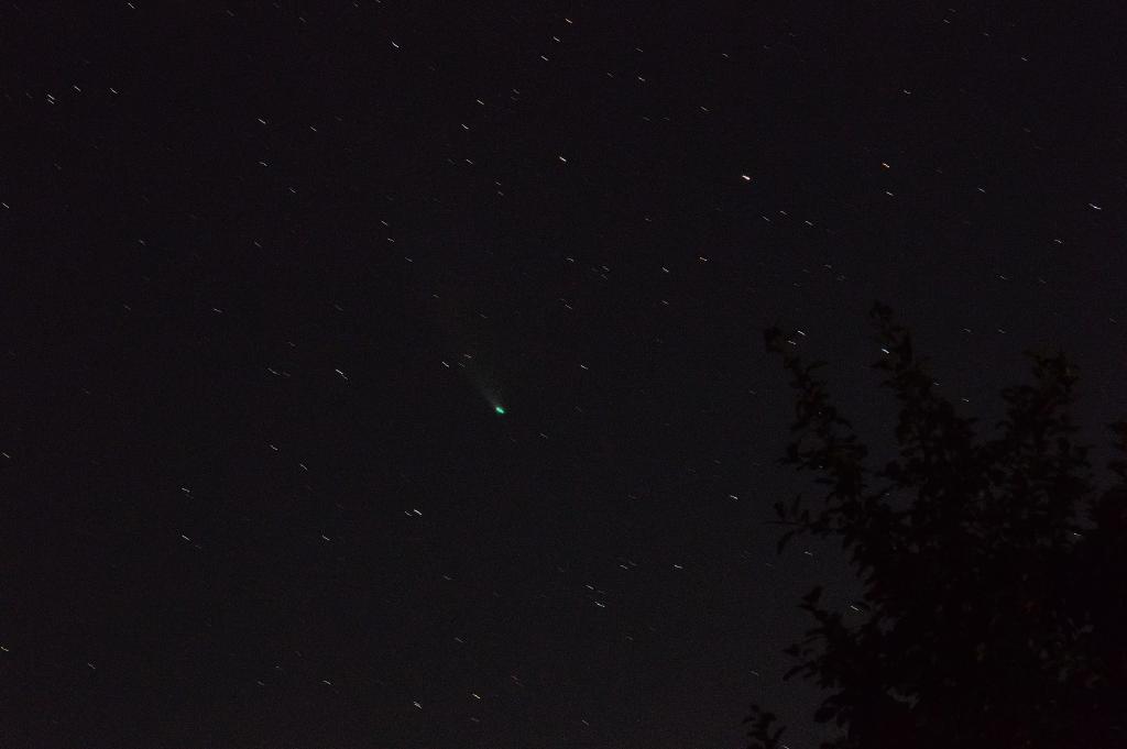 Хвост кометы NEOWISE